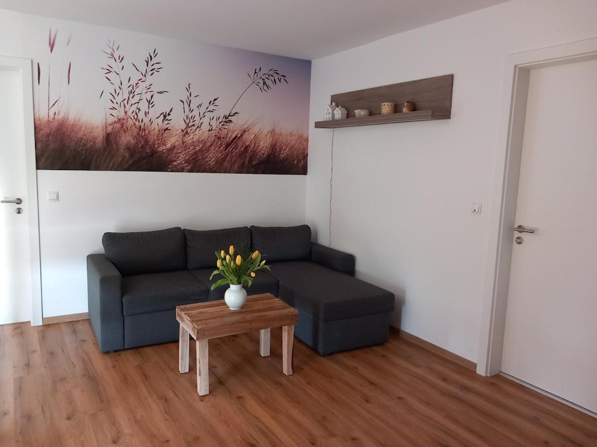 Ferienbauernhof Neumuehle Apartment Gappenach Екстериор снимка