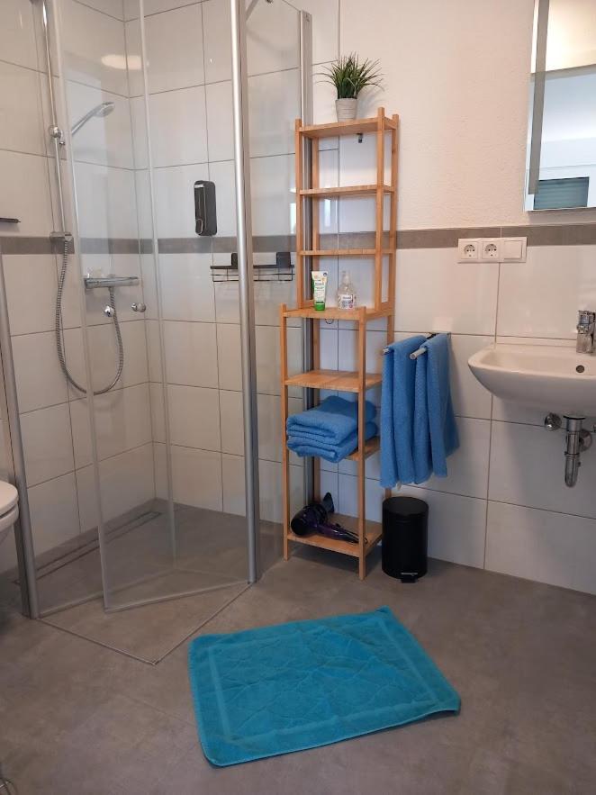 Ferienbauernhof Neumuehle Apartment Gappenach Екстериор снимка