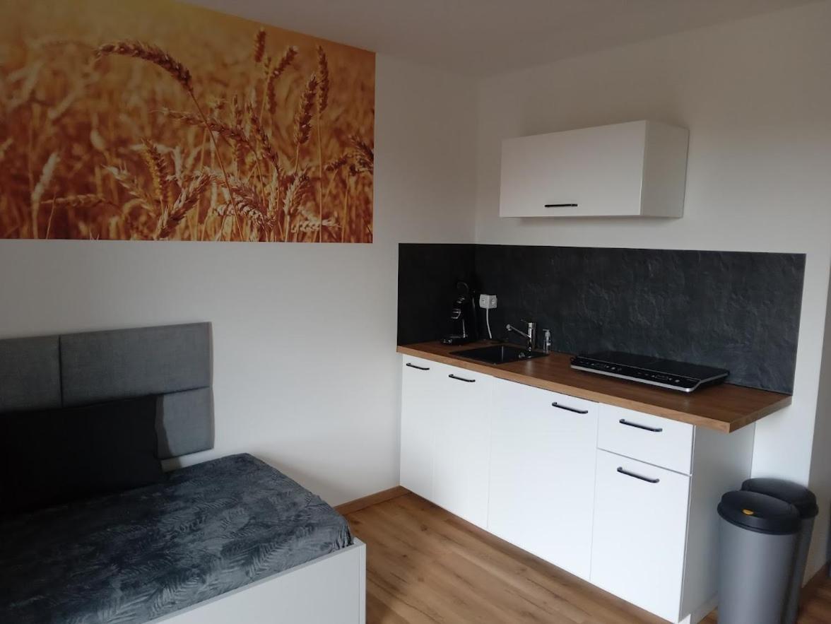 Ferienbauernhof Neumuehle Apartment Gappenach Екстериор снимка