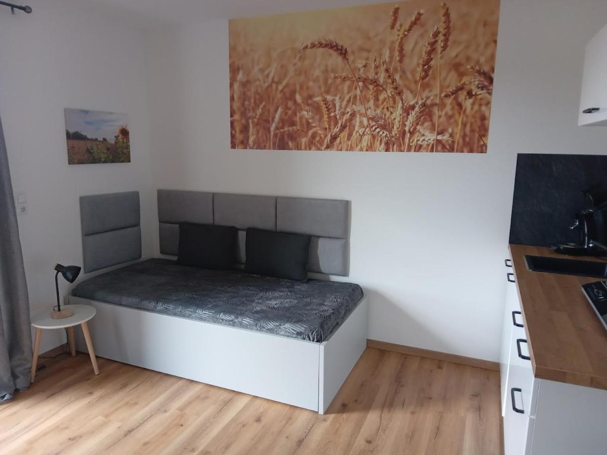 Ferienbauernhof Neumuehle Apartment Gappenach Екстериор снимка